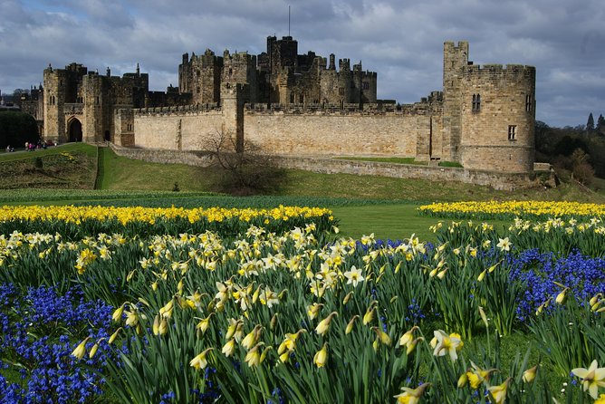 1 Day Alnwick Castle, Holy Island & Scottish Borders - Alnwick Gardens or Alnwick village: pick what fits your style