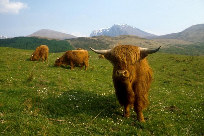 3-Day Isle of Skye, 'Hogwarts Express' Train and Highlands Tour - Portree stays, breakfast, and how to use your time off the coach