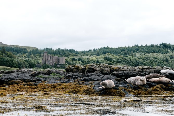 3-Day Isle of Skye, 'Hogwarts Express' Train and Highlands Tour - Who this tour fits best, and who should choose something else