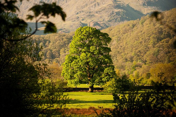 3-Day Lake District Explorer Small-Group Tour from Edinburgh - Who should book this Lake District explorer, and who should skip it