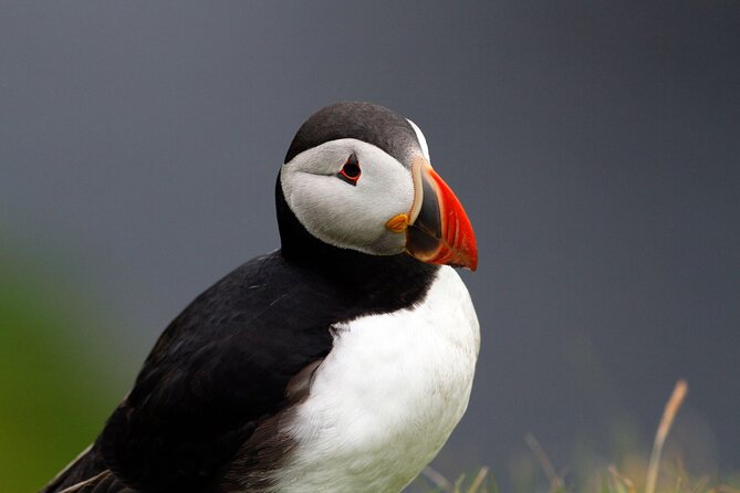 4 Day Mull, Iona and Staffa Puffin Experience from Edinburgh - Day 1: Luss, Inveraray, Dunadd Fort, and the ferry down to Tobermory