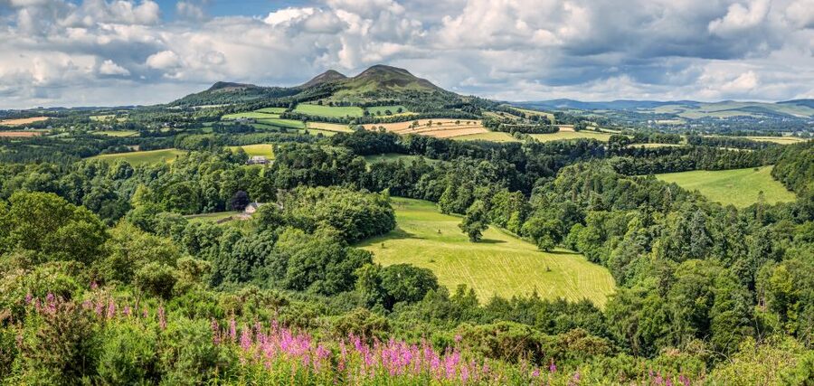 Alnwick Castle, Northumberland & Scottish Borders 1-Day Tour - Bamburgh beach and castle, the Viking Coast makes history physical