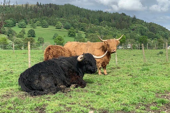 Central Highlands lochs Stirling Whisky private driving - Pickup From Edinburgh: Comfort, Timing, and Real-Life Help