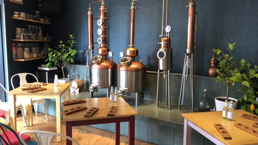 Distillery Masterclass - 8 Scottish gins paired with cheeses - Key things that make this masterclass fun and useful