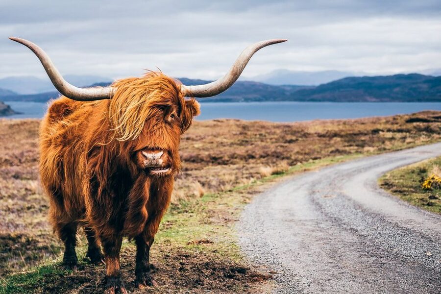 Edinburgh: 3-Day Isle of Skye, Highlands, and Loch Ness Tour - Glencoe and Rannoch Moor: When the Highlands Get Serious