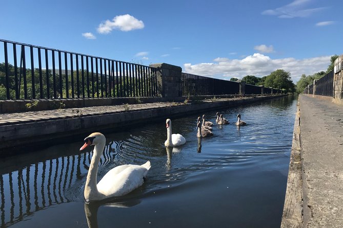 Edinburgh City Bike Tour - Choice of E-Bike or Manual - Should you book this Edinburgh City Bike Tour?