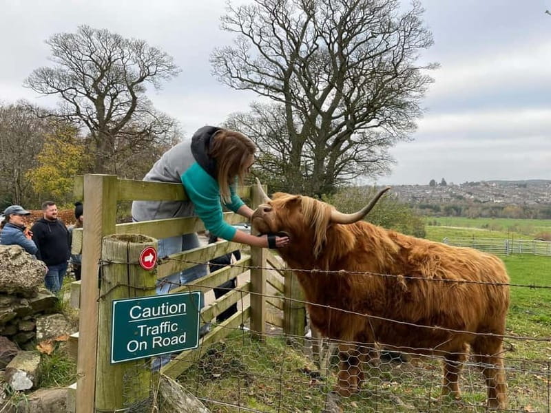 Edinburgh: Highland Cow, Blackness Castle, and Cake Tour - Blackness Castle on the Firth of Forth, stone fortress views and a guided pace