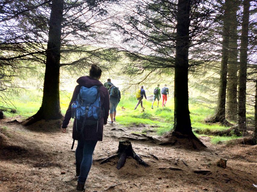 Edinburgh: Hill & Nature Hike With a Local - What you actually see: moorlands, lochs, and big Pentland viewpoints