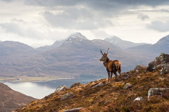 Edinburgh: Isle of Skye, Highlands and Loch Ness 3-Day Tour - Price and value: what $235.08 includes, and why that matters