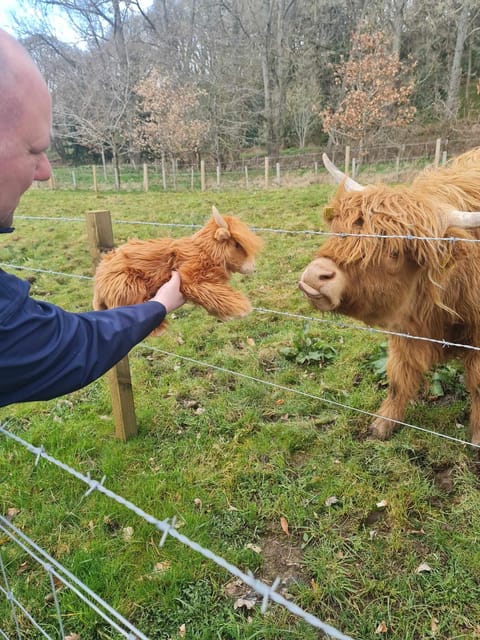 Edinburgh: Loch Ness, Glencoe, Coos & the Highlands Day Tour - Price and value, plus what you must budget on the day