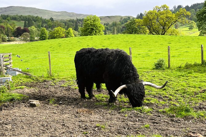 Edinburgh: Loch Ness, Glencoe & The Highlands - Glencoe: the MacDonald Clan story and the Three Sisters photos