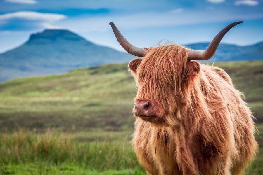 Edinburgh: Loch Ness, Inverness & Highlands Tour in Spanish - Glen Coe from three angles: photo stops and the Three Sisters