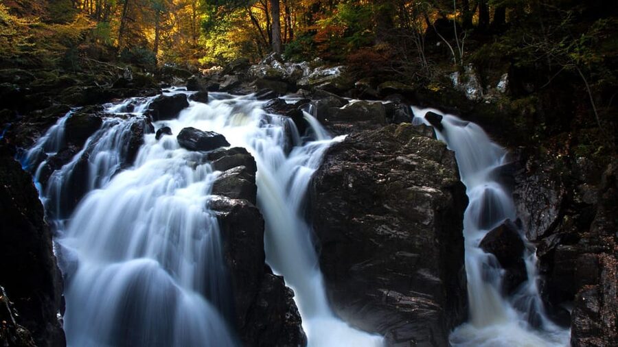 Edinburgh: Loch Ness, Scenic Walk, Glencoe & Whisky Day Tour - Fish and chips plus Loch Lomond drive: comfort food and a final nature beat