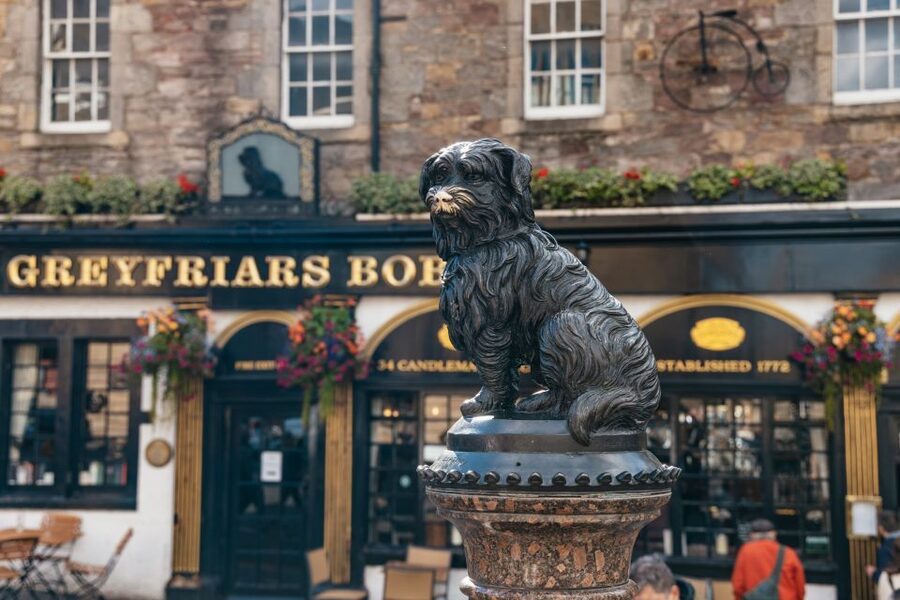 Edinburgh: Old Town History and Tales Walking Tour - Price and value of $24 for an Edinburgh Old Town story walk