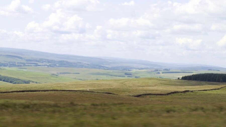 Edinburgh: Rosslyn Chapel and Hadrian's Wall Tour in Spanish - Price and value: paying for transport and Spanish interpretation