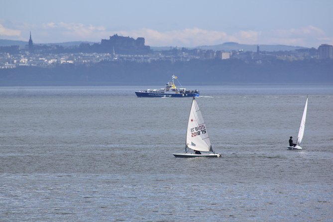 Edinburgh Three Bridges Cruise - Wildlife odds: seals and puffins, and how to improve your chances