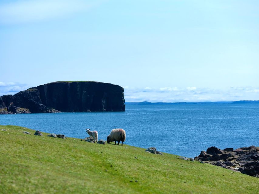 From Edinburgh: 6-Day Shetland & Nothernmost Explorer - Key highlights at a glance