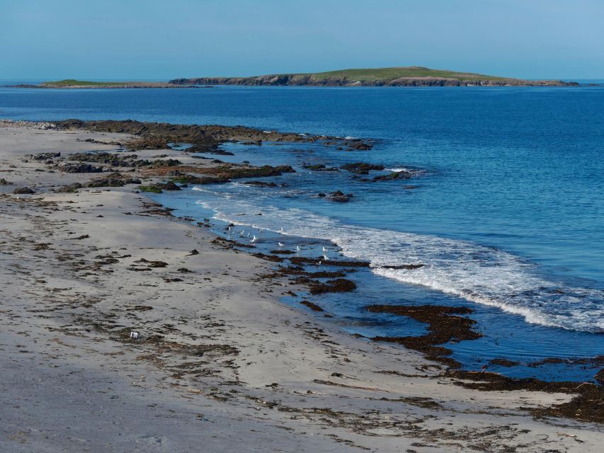From Edinburgh: 6-Day Shetland & Nothernmost Explorer - Unst and the UK’s northernmost feeling: Muckle Flugga and puffin chances