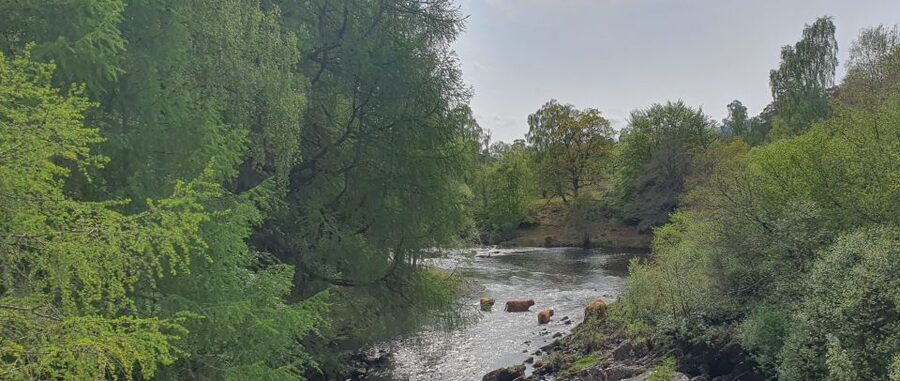 From Edinburgh: a Private Tour to a Majestic Highland Glen - Key things to know before you go