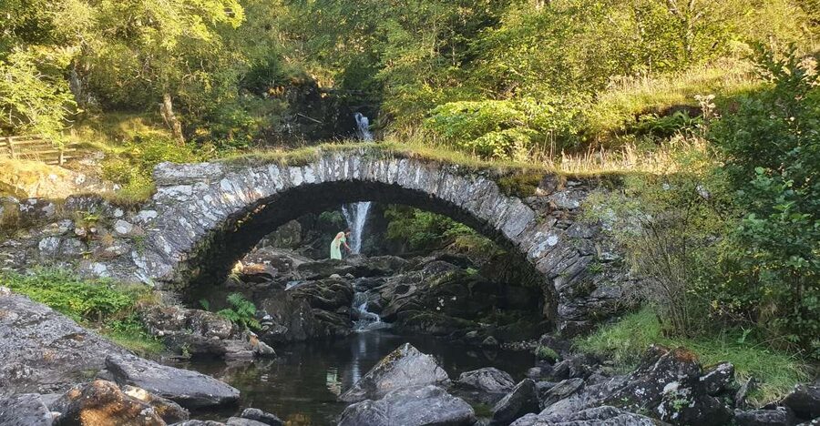 From Edinburgh: a Private Tour to a Majestic Highland Glen - The vehicle, group size, and comfort value