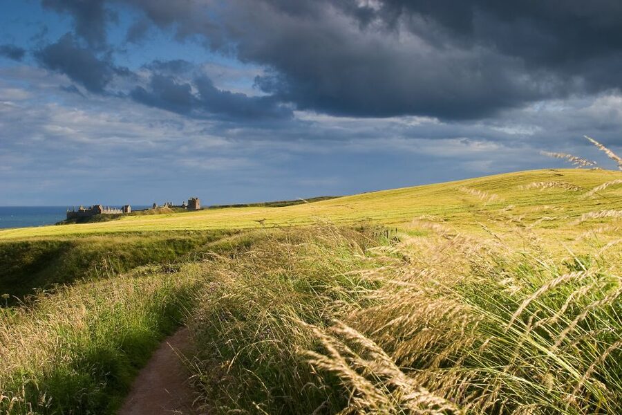 From Edinburgh: Glamis and Dunnottar Castles Tour in Italian - How the Italian guided day trip runs from Edinburgh