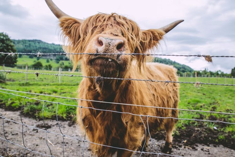 From Edinburgh: Isle of Skye and Outer Hebrides 6-Day Tour - Price and what makes it good value at around $1,626 per person