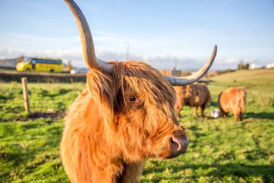 From Edinburgh: Isle of Skye & The Highlands 3-Day Tour - Glen Coe, Rannoch Moor, and Rob Roy country on the return to Edinburgh