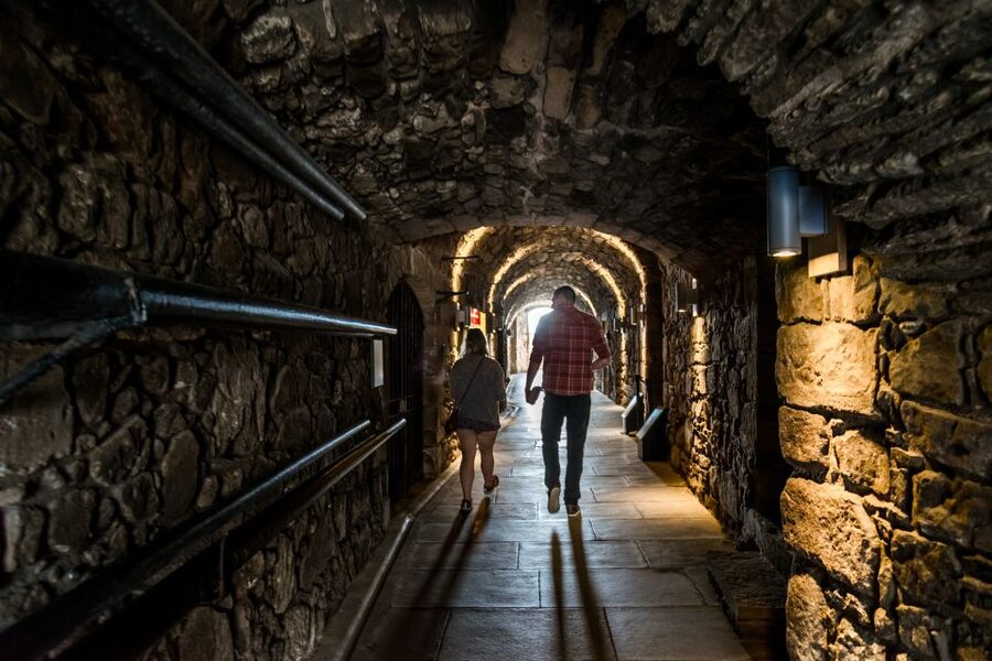 From Edinburgh: Loch Lomond, Kelpies & Stirling Castle Tour - Loch Lomond National Park: the Balmaha shoreline walk you will remember