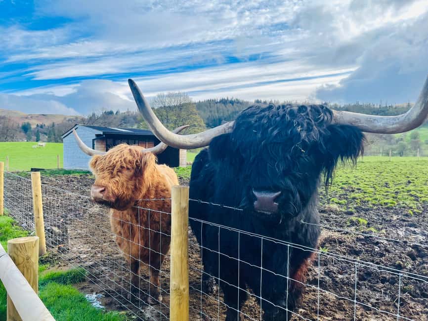 From Edinburgh: Loch Ness, Glencoe & The Highlands Day Trip - Key points before you go