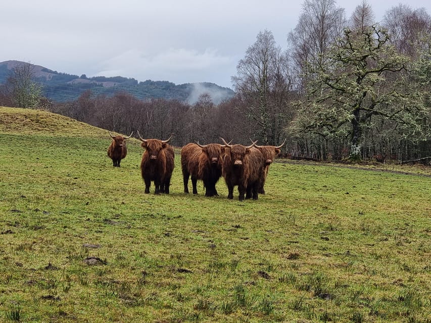 From Edinburgh: Loch Ness Private Day Tour with Transfers - Stirling Castle and William Wallace views: a proper warm-up
