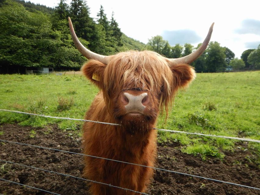 From Edinburgh: Orkney, Skye and the Far North 8 Day Tour - Day 7: Back to the mainland, optional Dunrobin Castle, Inverness overnight