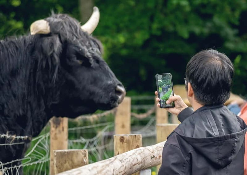 From Edinburgh: Stirling Castle, Kelpies and Loch Lomond - Key points before you go