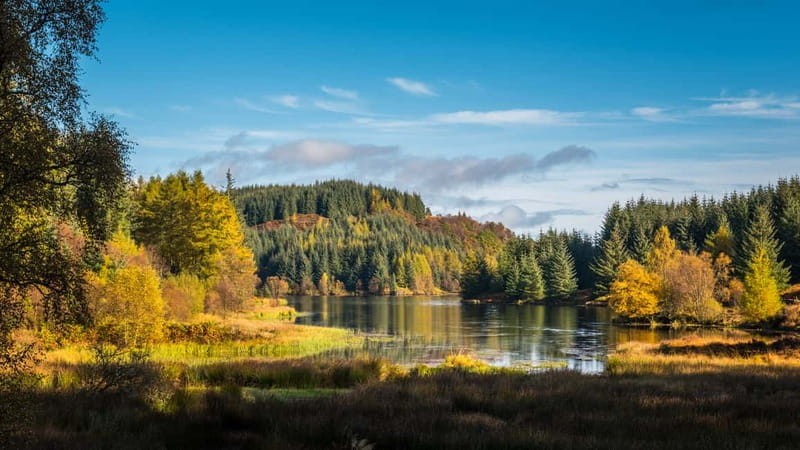 From Edinburgh: Stirling Castle, Kelpies and Loch Lomond - Stirling: city stroll, Stirling Castle, and the Wallace and Bruce storyline