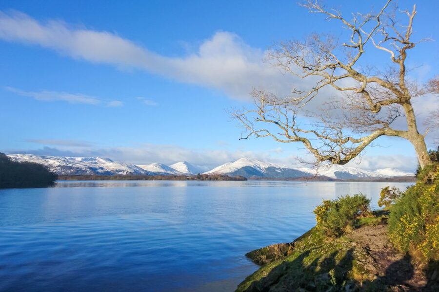 From Edinburgh: Stirling Castle, Loch Lomond & Whisky Tour - Who This Tour Suits (and Who Might Want a Different Day)