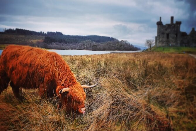 Full Day Private Tour in West Highlands, Oban and Glencoe - Price and what you are really paying for (up to 6 people)