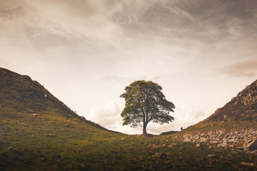 Hadrian's Wall & Roman Britain 1-Day Tour from Edinburgh - Vindolanda Roman Army Museum: daily life inside the frontier