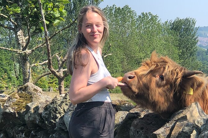 Highland Cows, Walk Alpacas & Scottish Wildlife Centre from Edin. - What the guides add: friendly planning and real flexibility