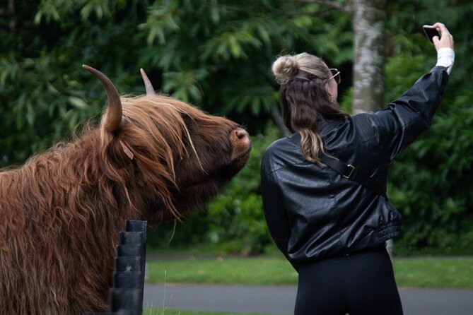 Highlands Cows Glencoe and Castles Private Tour from Edinburgh - Key Things That Make This Tour Worth It