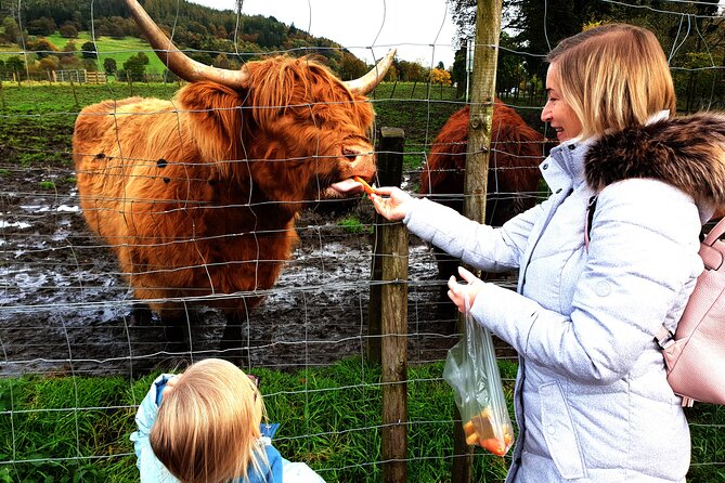 Highlands, Glencoe and Glenfinnan Viaduct Private Tour - A Private Highlands Day From Edinburgh, With Real Flexibility