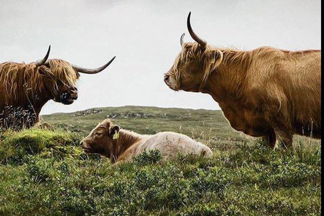 Highlands + Glencoe + Loch Ness Private Tour - Key things to know before you go
