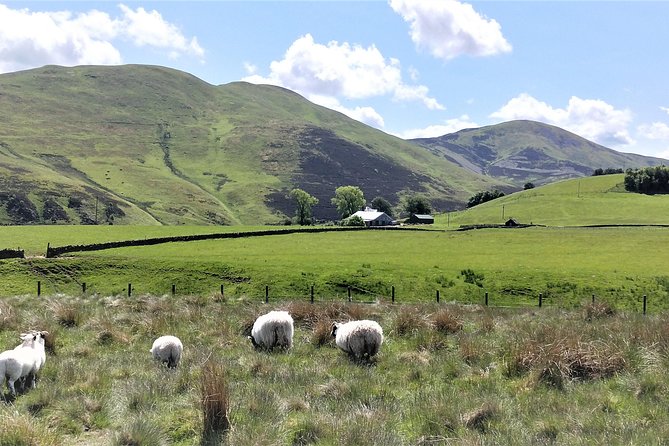 Hill & Nature Hike - Discover Real Edinburgh With a Local Expert - Pentland Hills on foot: summit views, reservoirs, and room for breaks