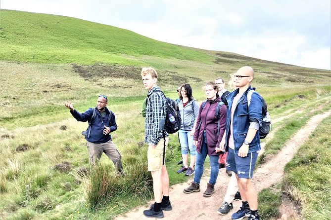 Hill & Nature Hike - Discover Real Edinburgh With a Local Expert - Wildlife chances: Hairy Coos, sheep, deer, and birds