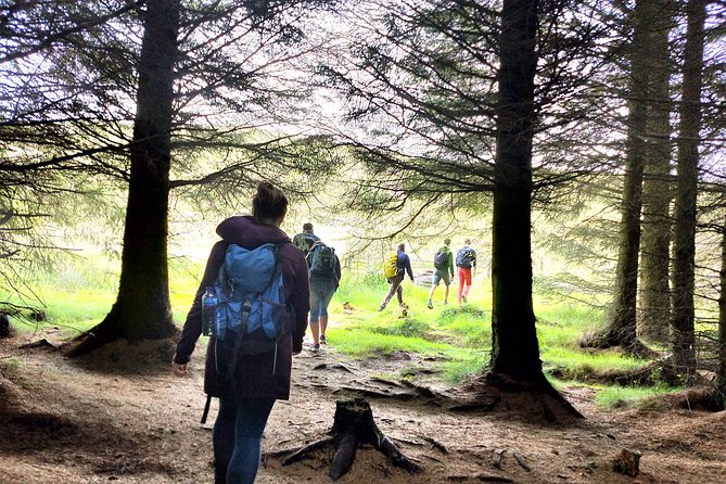 Hill & Nature Hike - Discover Real Edinburgh With a Local Expert - Weather and clothing: how to dress for a windy summit