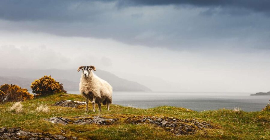 Iona, Mull, and Isle of Skye: 5-Day Tour from Edinburgh - Accommodation, group size, and the comfort details that matter