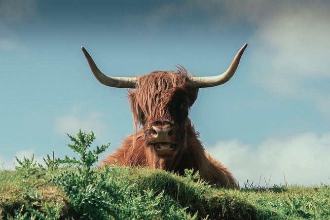 Loch Ness, Glen Coe & The Highlands Day Tour from Edinburgh - What makes the guides matter on this specific route