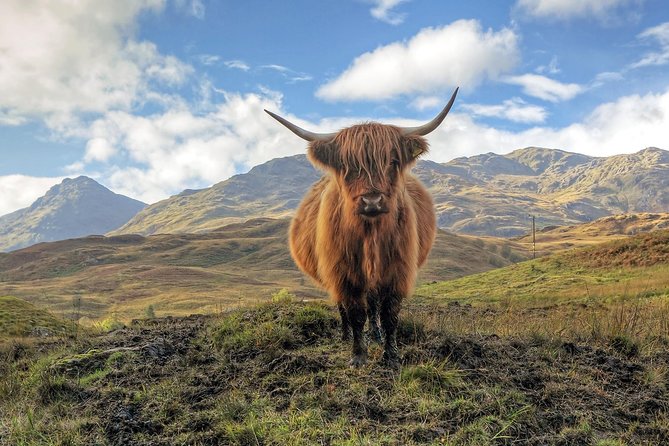 Loch Ness, Glencoe & the Highlands Guided Day Tour from Edinburgh - Glencoe photo stop plus the Clan MacDonald 1692 context