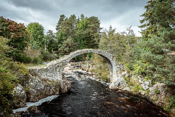 Loch Ness Private Day Tour up to 8 passengers - Loch Ness time: cruise, Urquhart Castle, and gin options