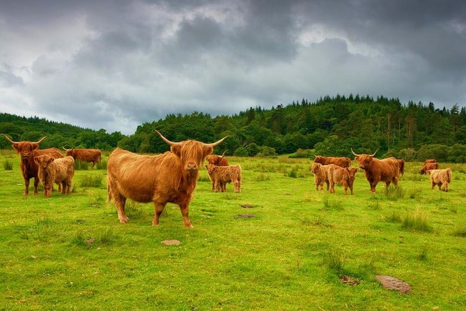 Loch Ness & Urquhart Castle Private Day Tour from Edinburgh - Pitlochry: a quick Highland reset with Queen Victoria ties