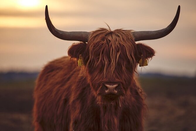 Luxury Private Tour of The Highlands & Loch Ness from Edinburgh - Passing through Cairngorms and finishing in Pitlochry