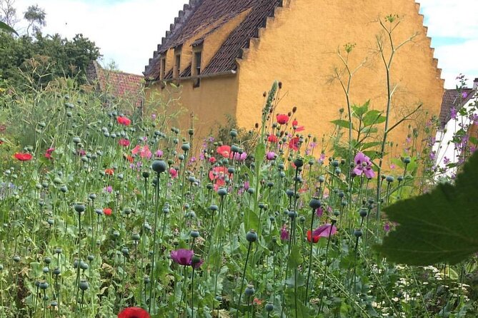Outlander Day Tour from Glasgow - Falkland village: 1940s Inverness vibes and room for real lunch
